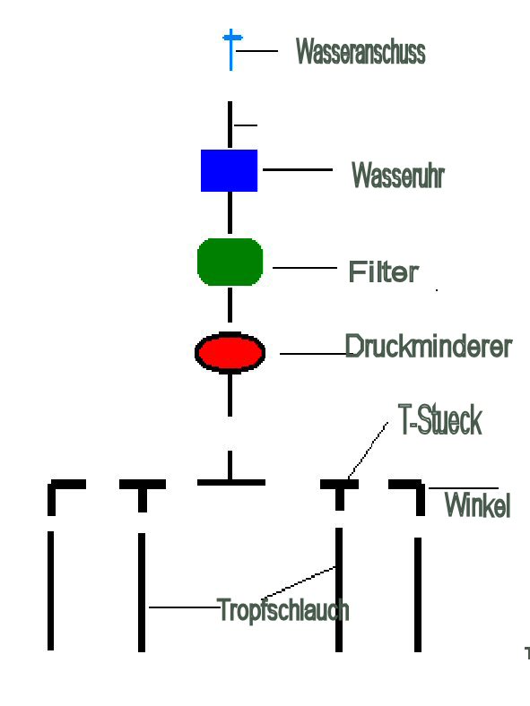 Plan Bayarsaikhan