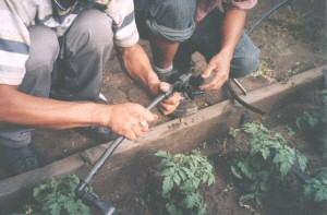 Bau der Verteilung im Fruehbeetkasten