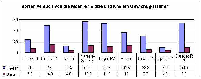 Ertraege Sorten Moehren