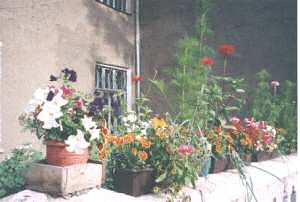 Terrasse MSUA