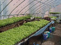 Produktion im Neuen Gewächsahaus