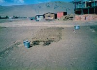 Feld in Zaisan 1