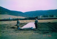 Feld in Agropark 3