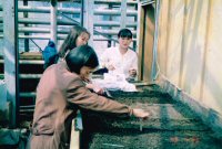 Gruppe bei Arbeit