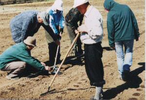 Aussaat im Agropark