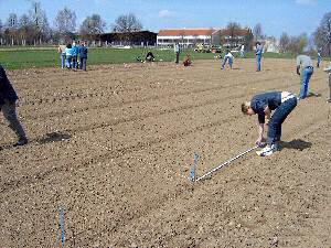 Feld einteilen