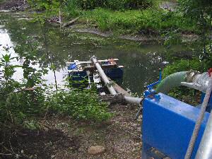 Wasser aus einem Teich