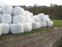 Silageballen