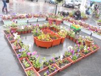 Blumenmarkt 2